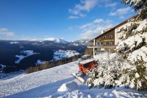 Hotel Emerich Pec Pod Snežkou